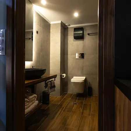 Apartament Wooden *